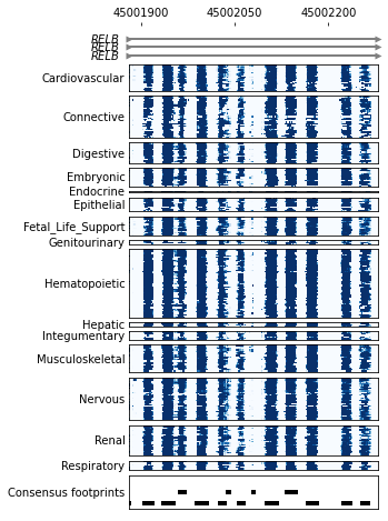 ../_images/tutorials_posterior_plot_8_0.png