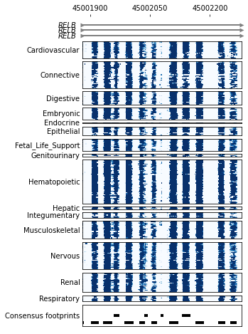 ../_images/tutorials_posterior_plot_8_0.png